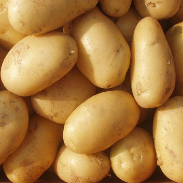  Baby Potato  500g