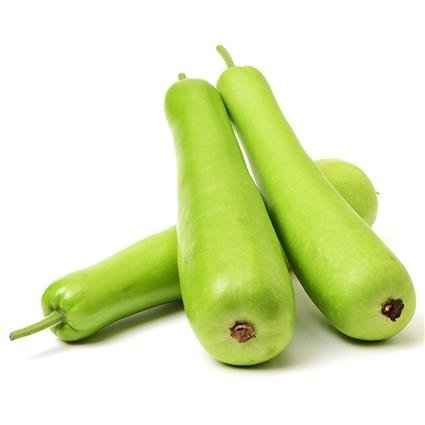  Bottle Gourd  (500g - 650g)