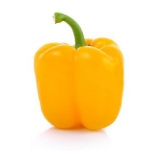  Capsicum yellow  500g