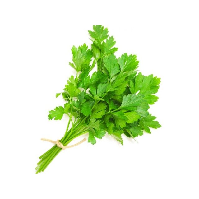  Coriander Leaves