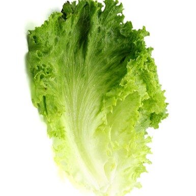  Lettuce 250g