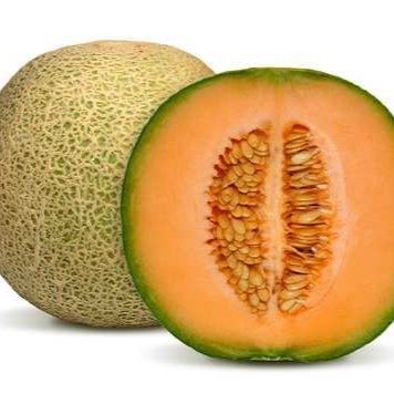  Musk melon